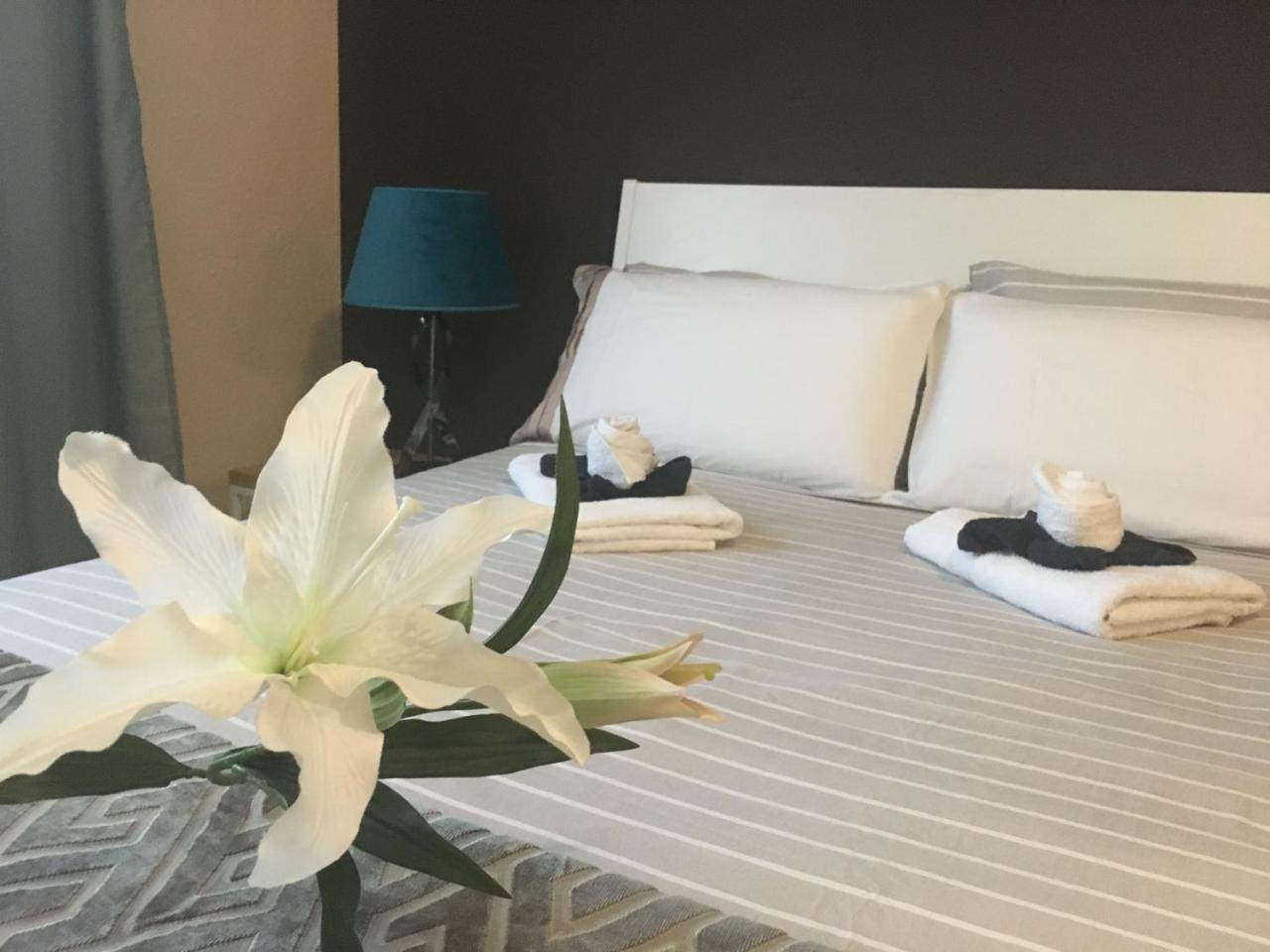 Апартаменты Dream Comfy Сан-Кристобаль-де-Ла-Лагуна Экстерьер фото